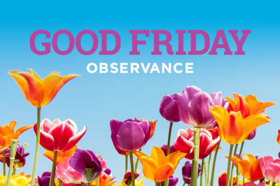 A variety of spring flowers in bloom, reaching for the sun.