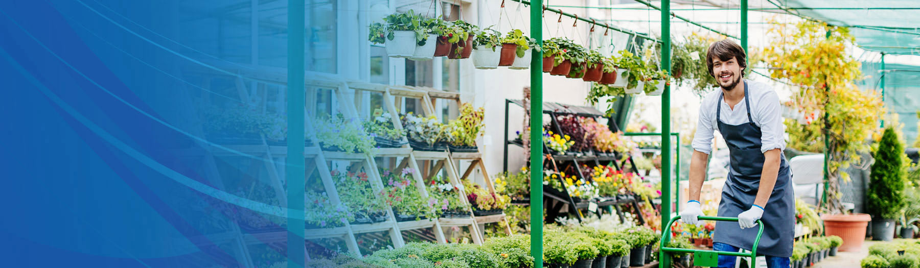 Greenhouse owner working in his busy store among many plants